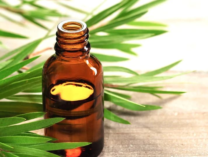 روغن درختِ چای؛