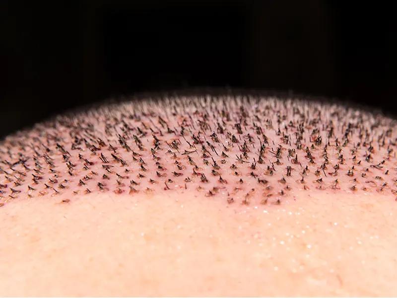 معرفی بانک مو معرفی بانک مو